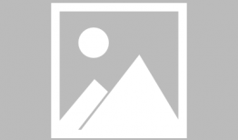 深圳老板最新爆料