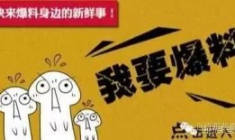 新鲜趣事爆料大全最新,新鲜爆料大全盘点