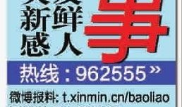 新鲜趣事爆料大全最新,新鲜爆料大全盘点
